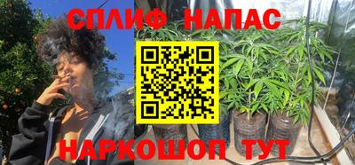 твердый Моздок