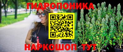 МДПВ Можга