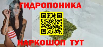 МДПВ Можга