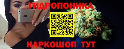 МДПВ Можга