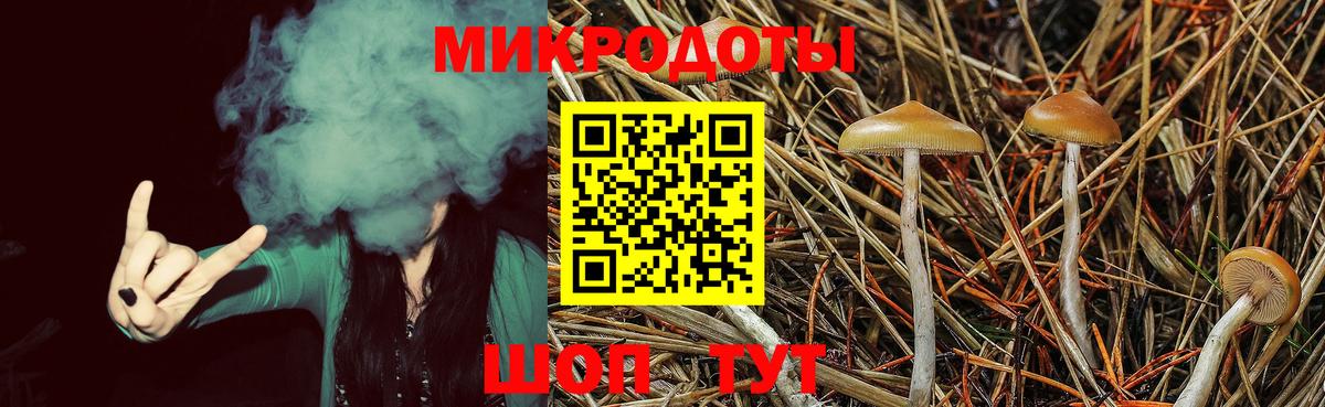 Псилоцибиновые грибы Cubensis Югорск