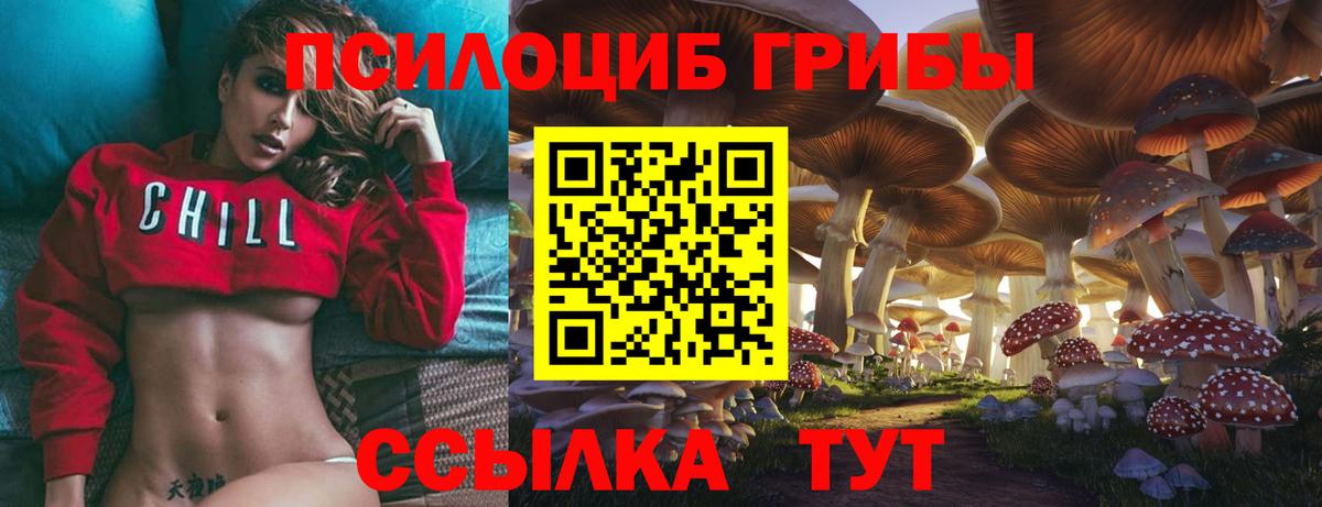 цены наркотик  Вход с VPN  Югорск  Псилоцибиновые грибы Psilocybine cubensis  Псилоцибиновые грибы Psilocybe 